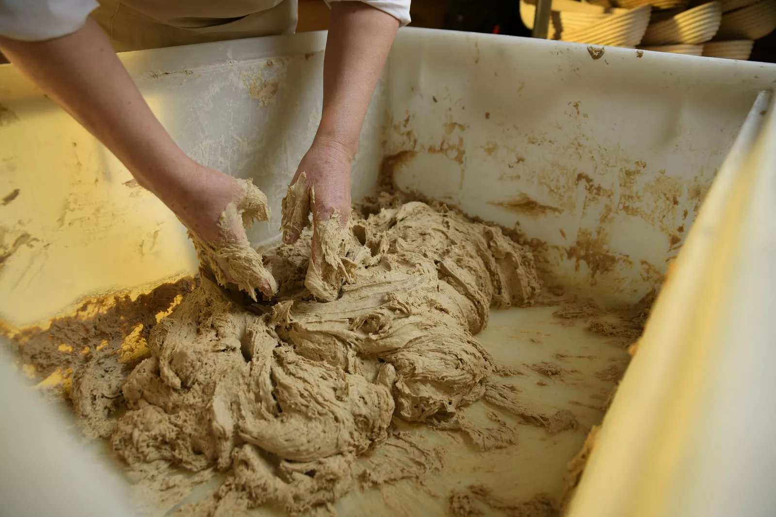 Brotbackkurs am Biohof Janezic