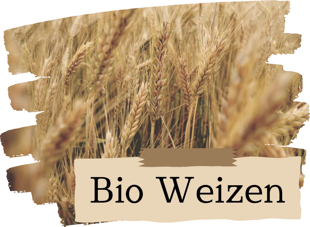 Bio Weizen vom Biohof Janezic